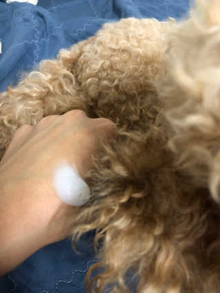 지슬어멍님이 올린 리뷰 사진 2
