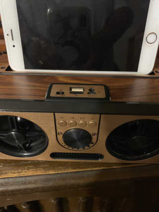 SEVIZ RETRO20W 레트로 블루투스 스피커 — 5점을 준 리뷰어가 2020년 7월 올린 사용 사진