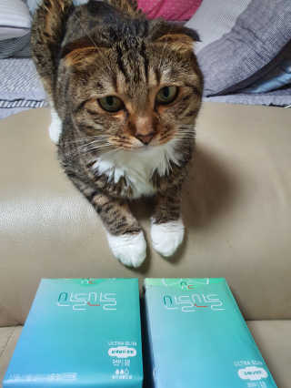 장간님이 올린 리뷰 사진 2