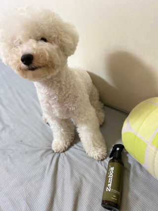 예봉봉봉님이 올린 리뷰 사진 1
