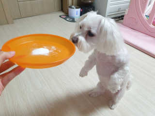 My Pet Care 모발과 모질 피부건강에 개좋아 — 5점을 준 리뷰어가 2020년 12월 올린 사용 사진