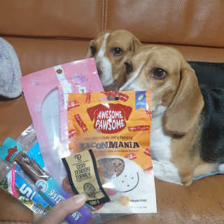 beaglelove님이 올린 리뷰 사진 1