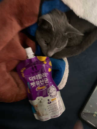 꼬말론맘님이 올린 리뷰 사진 2