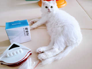 람온님이 올린 리뷰 사진 1