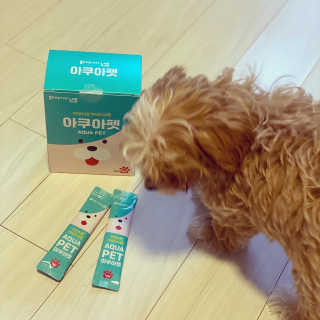 펫시랩 반려견용 액상 프리바이오틱스 아쿠아펫 — 5점을 준 리뷰어가 2020년 12월 올린 사용 사진