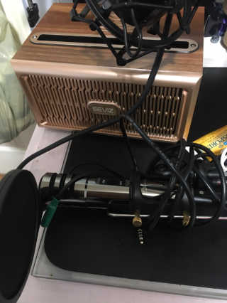 SEVIZ GOLD20W 레트로 블루투스 스피커 — 3.5점을 준 리뷰어가 2020년 6월 올린 사용 사진