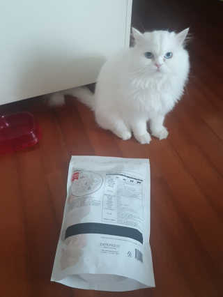 딸셋맘님이 올린 리뷰 사진 4