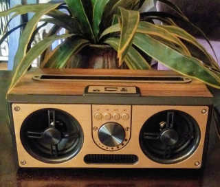 SEVIZ RETRO20W 레트로 블루투스 스피커 — 5점을 준 리뷰어가 2020년 6월 올린 사용 사진