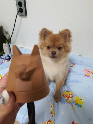 미뎡님이 올린 리뷰 사진 1