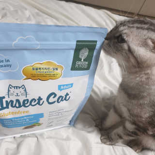 고양이망고님이 올린 리뷰 사진 2