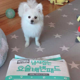 펭하하님이 올린 리뷰 사진 3