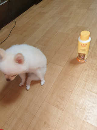 문시니니님이 올린 리뷰 사진 4