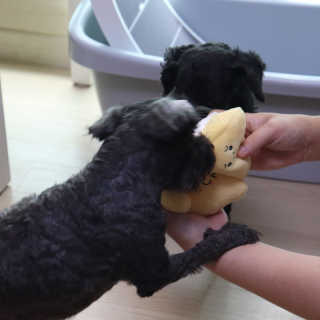 우와한언니님이 올린 리뷰 사진 2