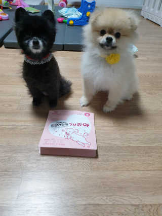 My Pet Care 천연단백질 관절건강에 개좋아 — 5점을 준 리뷰어가 2020년 11월 올린 사용 사진