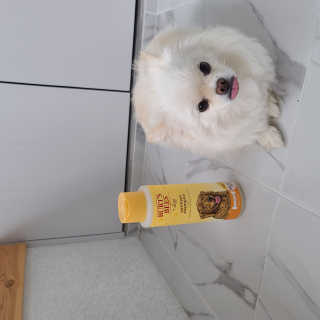 hoi님이 올린 리뷰 사진 2