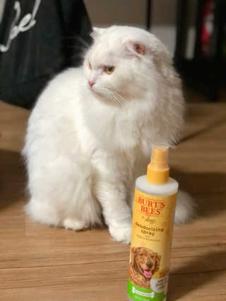 지연님이 올린 리뷰 사진 1