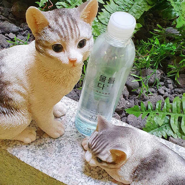 해양심층수 물들다 생수 500ml x 40개 리뷰 사진