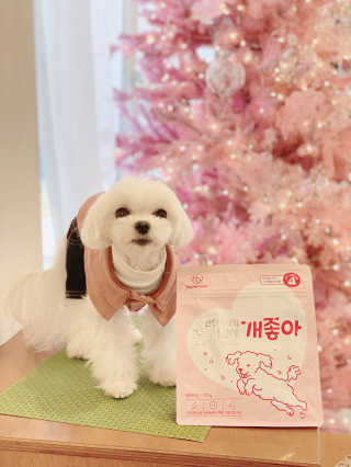 My Pet Care 천연단백질 관절건강에 개좋아 — 5점을 준 리뷰어가 2020년 12월 올린 사용 사진