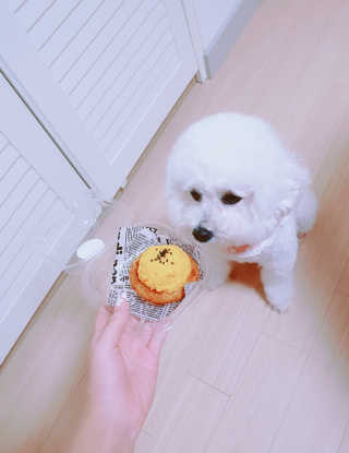 모델연초아님이 올린 리뷰 사진 2