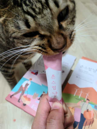 BoRaJin님이 올린 리뷰 사진 2