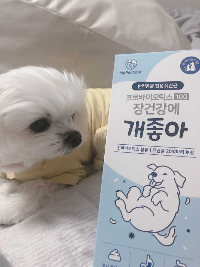 장건강에 개좋아 리뷰 사진