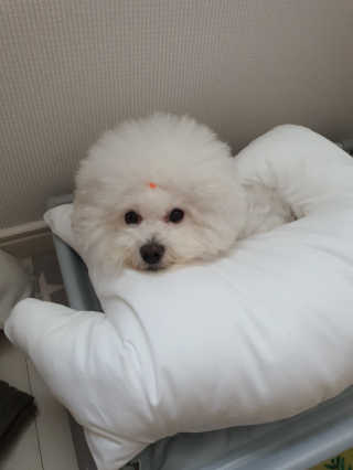 hyun♡님이 올린 리뷰 사진 1