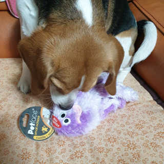 beaglelove님이 올린 리뷰 사진 3