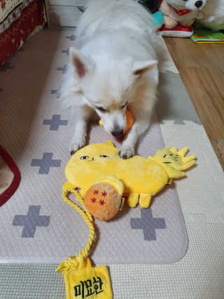 EunJeongKong님이 올린 리뷰 사진 3