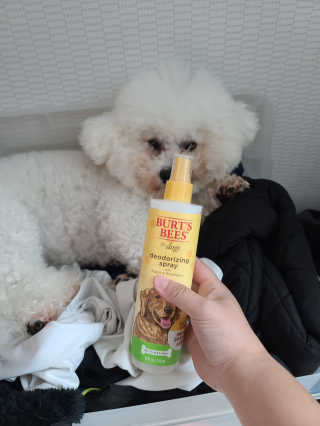 꾸꾸엄마님이 올린 리뷰 사진 1