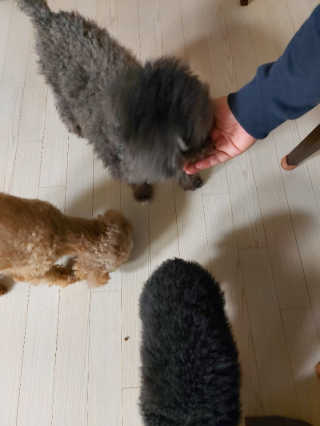 몽이님이 올린 리뷰 사진 4