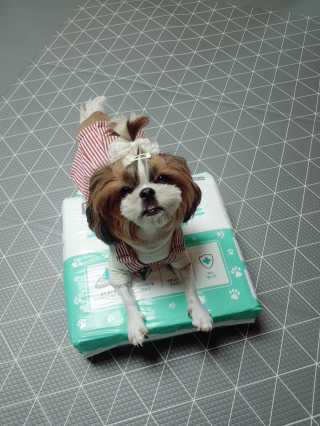 루이비똥💩님이 올린 리뷰 사진 3