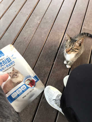Er님이 올린 리뷰 사진 3