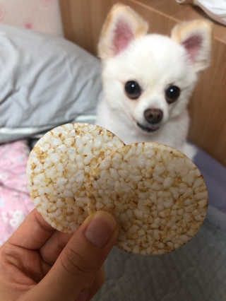 김도님이 올린 리뷰 사진 4