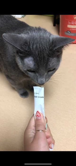 공쥬님이 올린 리뷰 사진 3