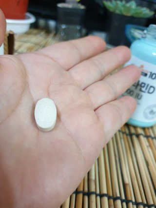 김효영님이 올린 리뷰 사진 4