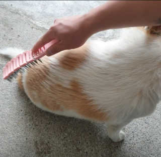 승키님이 올린 리뷰 사진 2
