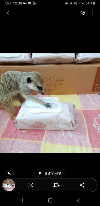 Lilly❤️님이 올린 리뷰 사진 4