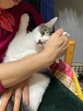 mangsoo님이 올린 리뷰 사진 2