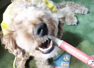란아님이 올린 리뷰 사진 2