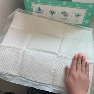 쪄니호잇님이 올린 리뷰 사진 3