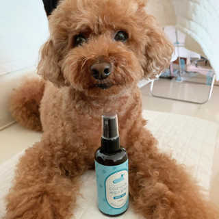 코지독 카밍스프레이 100ml — 5점을 준 리뷰어가 2020년 5월 올린 사용 사진