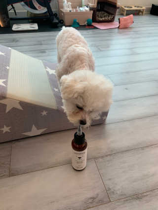 큐티윤님이 올린 리뷰 사진 2