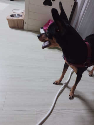 도도님이 올린 리뷰 사진 4