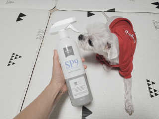 SP9 스프레이형 프리미엄 살균소독제 500ml+100ml — 5점을 준 리뷰어가 2020년 11월 올린 사용 사진