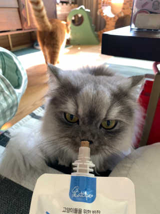 선짱님이 올린 리뷰 사진 3