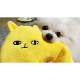 심쿵해에님이 올린 리뷰 사진 2