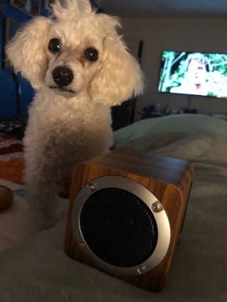 SEVIZ MINI10W 레트로 블루투스 스피커 — 5점을 준 리뷰어가 2020년 9월 올린 사용 사진