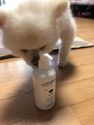 성님이 올린 리뷰 사진 3