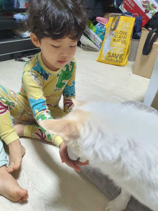My Pet Care 천연단백질 관절건강에 개좋아 — 5점을 준 리뷰어가 2020년 12월 올린 사용 사진