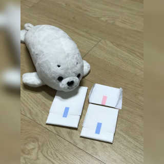 코지앤 생리대 체험 패키지 — 4점을 준 리뷰어가 2020년 10월 올린 사용 사진